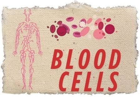 Blood cells whathow2