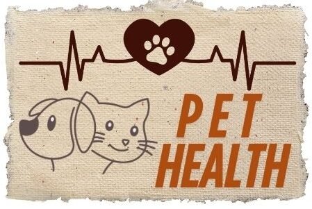 pet gut health