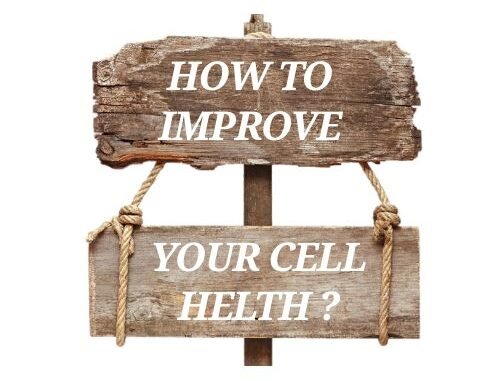 support healthy gut microbiome