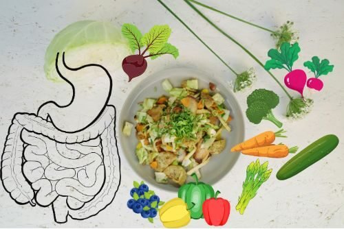 Fiber supplement for digestion